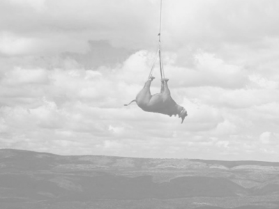 Quickstart Tutorial Posters